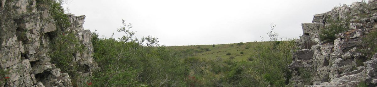 Observatorio del agua en Uruguay